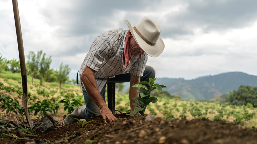 farmer